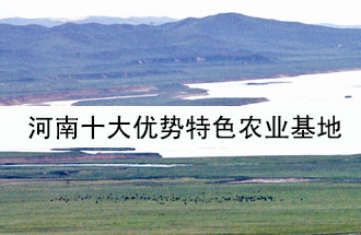 8月19日，河南省政府發(fā)布了關(guān)于深入推進(jìn)農(nóng)業(yè)供給側(cè)結(jié)構(gòu)性改革 大力發(fā)展優(yōu)勢(shì)特色農(nóng)業(yè)的意見