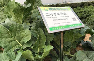 10月23日，中國（鄭州）種業(yè)博覽會將在河南省鄭州市中牟縣官渡鎮(zhèn)鄉(xiāng)謠農(nóng)場舉辦