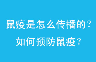 鼠疫是怎么傳播的？如何預(yù)防鼠疫？